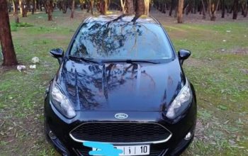 Ford fiesta diesel tte option