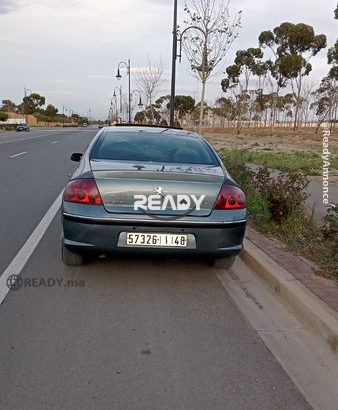 PEUGEOT 407