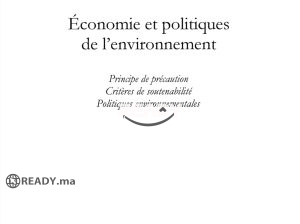 Économie et politique de l’environ