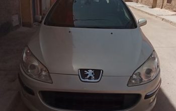 Peugeot 407 diesel